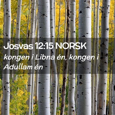 Picture 02 - Josvas 12:15 NORSK - kongen i Libna én, kongen i Adullam - Bible Verse Picture