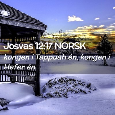 Picture 02 - Josvas 12:17 NORSK - kongen i Tappuah én, kongen i Hefer - Bible Verse Picture