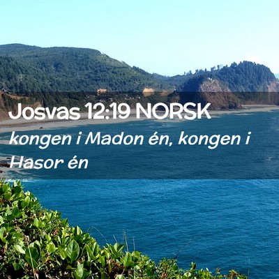 Picture 02 - Josvas 12:19 NORSK - kongen i Madon én, kongen i Hasor - Bible Verse Picture