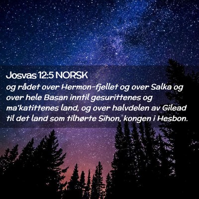 Picture 02 - Josvas 12:5 NORSK - og rådet over Hermon-fjellet og over Salka og - Bible Verse Picture