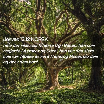 Picture 02 - Josvas 13:12 NORSK - hele det rike som tilhørte Og i Basan, han som - Bible Verse Picture