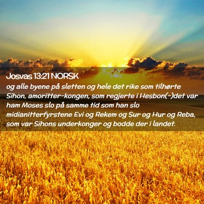 Picture 02 - Josvas 13:21 NORSK - og alle byene på sletten og hele det rike som - Bible Verse Picture