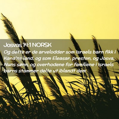 Picture 02 - Josvas 14:1 NORSK - Og dette er de arvelodder som Israels barn fikk i - Bible Verse Picture