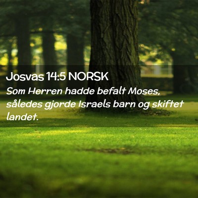 Picture 02 - Josvas 14:5 NORSK - Som Herren hadde befalt Moses, således gjorde - Bible Verse Picture