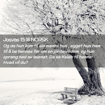 Picture 02 - Josvas 15:18 NORSK - Og da hun kom til sin manns hus , egget hun ham - Bible Verse Picture