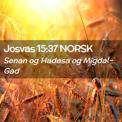 Picture 02 - Josvas 15:37 NORSK - Senan og Hadasa og - Bible Verse Picture
