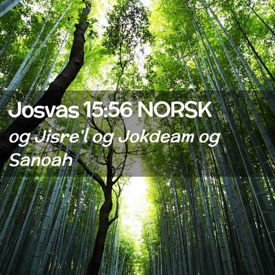Picture 02 - Josvas 15:56 NORSK - og Jisre'l og Jokdeam og - Bible Verse Picture