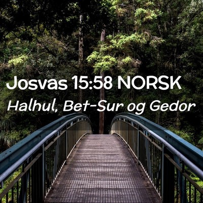 Picture 02 - Josvas 15:58 NORSK - Halhul, Bet-Sur og - Bible Verse Picture