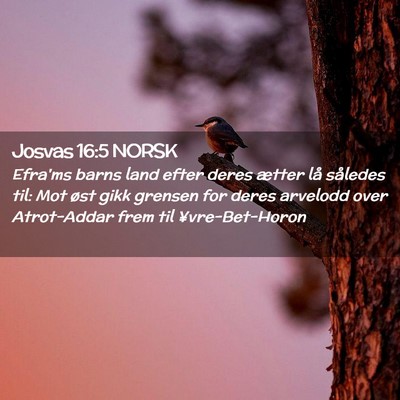 Picture 02 - Josvas 16:5 NORSK - Efra'ms barns land efter deres ætter lå - Bible Verse Picture