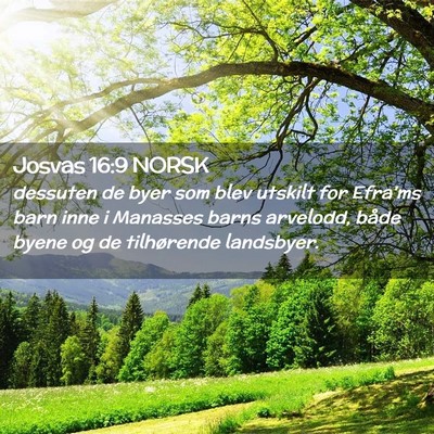 Picture 02 - Josvas 16:9 NORSK - dessuten de byer som blev utskilt for Efra'ms - Bible Verse Picture