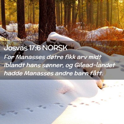 Picture 02 - Josvas 17:6 NORSK - For Manasses døtre fikk arv midt iblandt hans - Bible Verse Picture