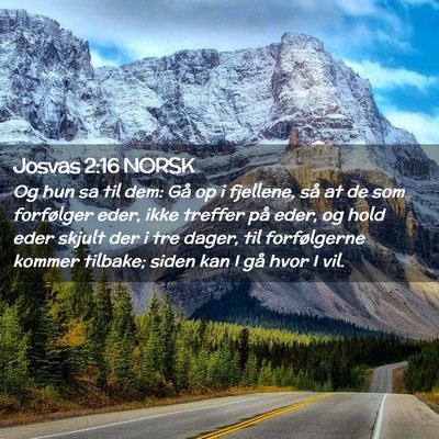 Picture 02 - Josvas 2:16 NORSK - Og hun sa til dem: Gå op i fjellene, så at de - Bible Verse Picture