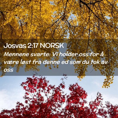 Picture 02 - Josvas 2:17 NORSK - Mennene svarte: Vi holder oss for å være løst - Bible Verse Picture