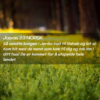 Picture 02 - Josvas 2:3 NORSK - Så sendte kongen i Jeriko bud til Rahab og lot - Bible Verse Picture