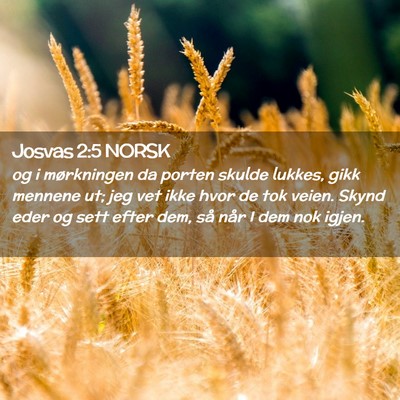 Picture 02 - Josvas 2:5 NORSK - og i mørkningen da porten skulde lukkes, gikk - Bible Verse Picture