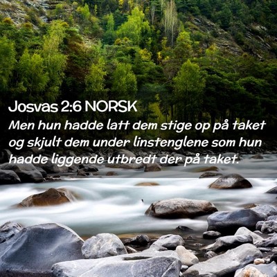 Picture 02 - Josvas 2:6 NORSK - Men hun hadde latt dem stige op på taket og - Bible Verse Picture