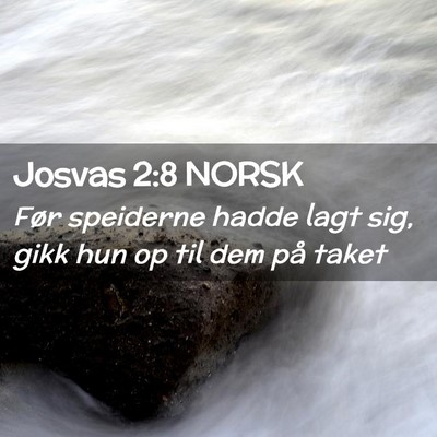 Picture 02 - Josvas 2:8 NORSK - Før speiderne hadde lagt sig, gikk hun op til - Bible Verse Picture