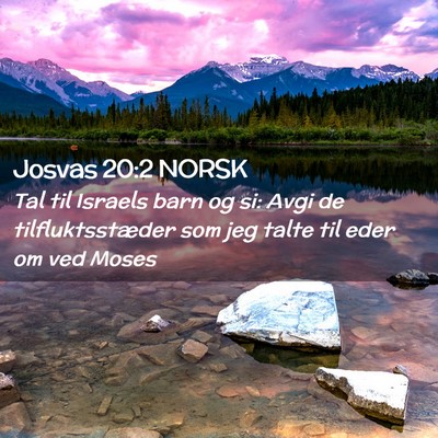 Picture 02 - Josvas 20:2 NORSK - Tal til Israels barn og si: Avgi de - Bible Verse Picture