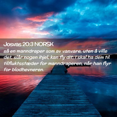 Picture 02 - Josvas 20:3 NORSK - så en manndraper som av vanvare, uten å ville - Bible Verse Picture