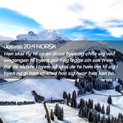 Picture 02 - Josvas 20:4 NORSK - Han skal fly til en av disse byer og stille sig - Bible Verse Picture