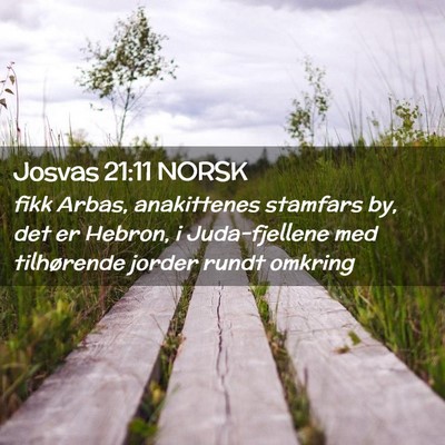 Picture 02 - Josvas 21:11 NORSK - fikk Arbas, anakittenes stamfars by, det er - Bible Verse Picture