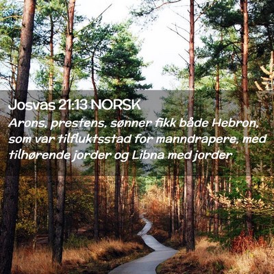 Picture 02 - Josvas 21:13 NORSK - Arons, prestens, sønner fikk både Hebron, som - Bible Verse Picture