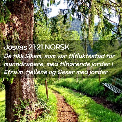 Picture 02 - Josvas 21:21 NORSK - De fikk Sikem, som var tilfluktsstad for - Bible Verse Picture