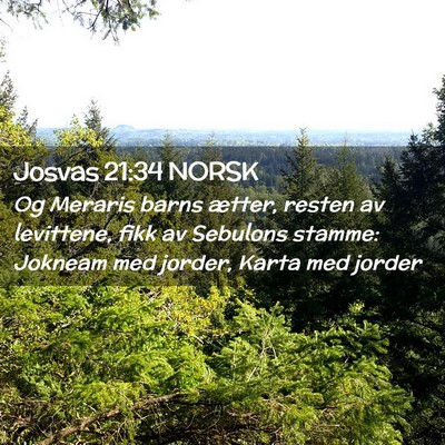 Picture 02 - Josvas 21:34 NORSK - Og Meraris barns ætter, resten av levittene, - Bible Verse Picture