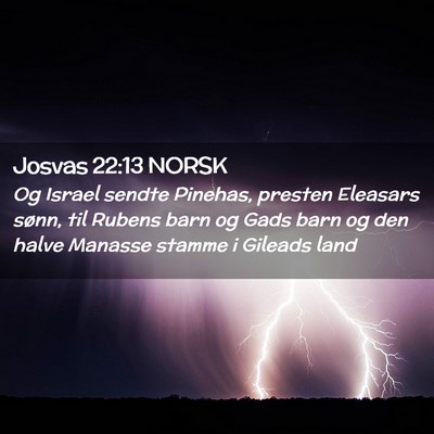 Picture 02 - Josvas 22:13 NORSK - Og Israel sendte Pinehas, presten Eleasars sønn, - Bible Verse Picture