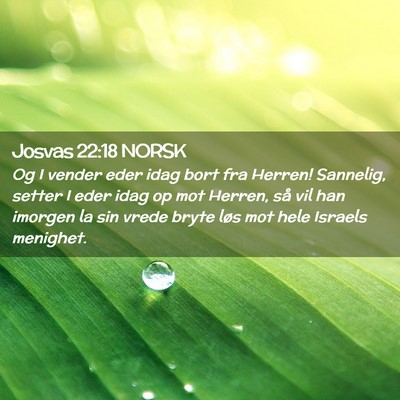 Picture 02 - Josvas 22:18 NORSK - Og I vender eder idag bort fra Herren! Sannelig, - Bible Verse Picture