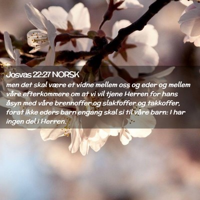 Picture 02 - Josvas 22:27 NORSK - men det skal være et vidne mellem oss og eder og - Bible Verse Picture