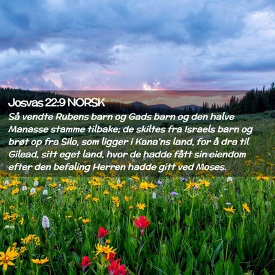 Picture 02 - Josvas 22:9 NORSK - Så vendte Rubens barn og Gads barn og den halve - Bible Verse Picture