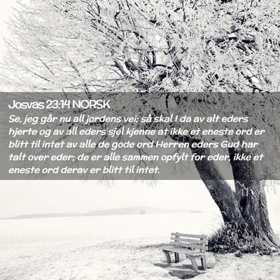 Picture 02 - Josvas 23:14 NORSK - Se, jeg går nu all jordens vei; så skal I da av - Bible Verse Picture