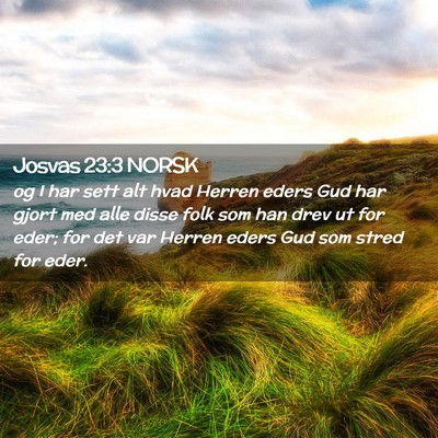 Picture 02 - Josvas 23:3 NORSK - og I har sett alt hvad Herren eders Gud har gjort - Bible Verse Picture