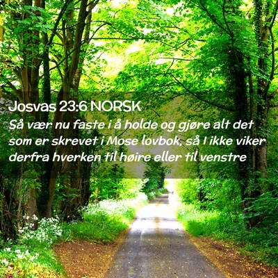 Picture 02 - Josvas 23:6 NORSK - Så vær nu faste i å holde og gjøre alt det - Bible Verse Picture