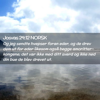Picture 02 - Josvas 24:12 NORSK - Og jeg sendte hvepser foran eder, og de drev dem - Bible Verse Picture