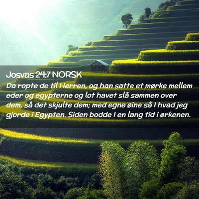 Picture 02 - Josvas 24:7 NORSK - Da ropte de til Herren, og han satte et mørke - Bible Verse Picture