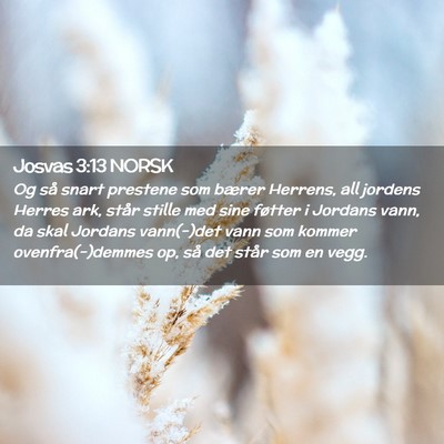 Picture 02 - Josvas 3:13 NORSK - Og så snart prestene som bærer Herrens, all - Bible Verse Picture