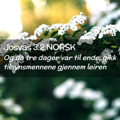 Picture 02 - Josvas 3:2 NORSK - Og da tre dager var til ende, gikk tilsynsmennene - Bible Verse Picture