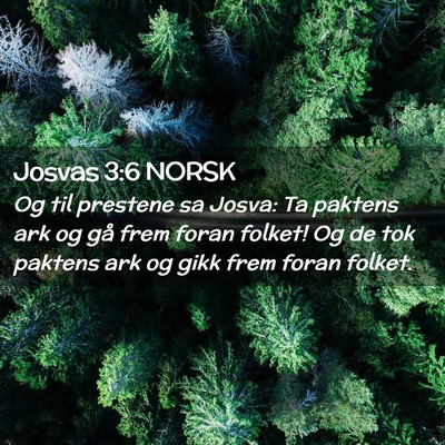 Picture 02 - Josvas 3:6 NORSK - Og til prestene sa Josva: Ta paktens ark og gå - Bible Verse Picture