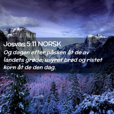 Picture 02 - Josvas 5:11 NORSK - Og dagen efter påsken åt de av landets grøde; - Bible Verse Picture