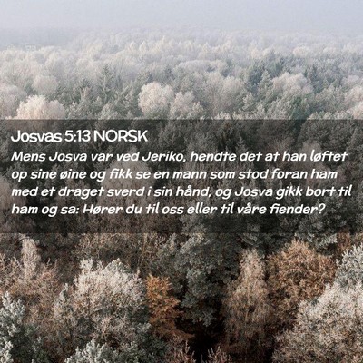 Picture 02 - Josvas 5:13 NORSK - Mens Josva var ved Jeriko, hendte det at han - Bible Verse Picture
