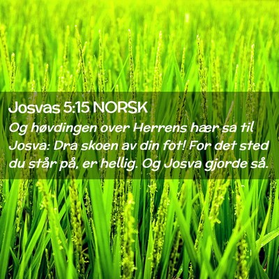 Picture 02 - Josvas 5:15 NORSK - Og høvdingen over Herrens hær sa til Josva: Dra - Bible Verse Picture