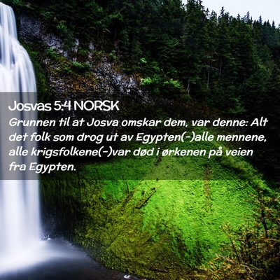 Picture 02 - Josvas 5:4 NORSK - Grunnen til at Josva omskar dem, var denne: Alt - Bible Verse Picture