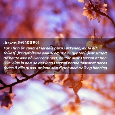Picture 02 - Josvas 5:6 NORSK - For i firti år vandret Israels barn i ørkenen, - Bible Verse Picture