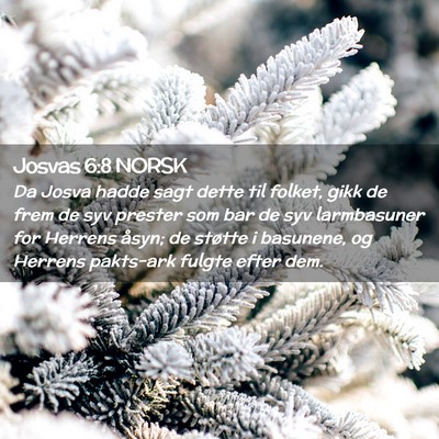 Picture 02 - Josvas 6:8 NORSK - Da Josva hadde sagt dette til folket, gikk de - Bible Verse Picture