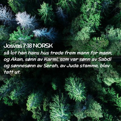 Picture 02 - Josvas 7:18 NORSK - så lot han hans hus trede frem mann for mann, og - Bible Verse Picture