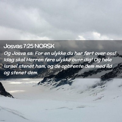 Picture 02 - Josvas 7:25 NORSK - Og Josva sa: For en ulykke du har ført over oss! - Bible Verse Picture