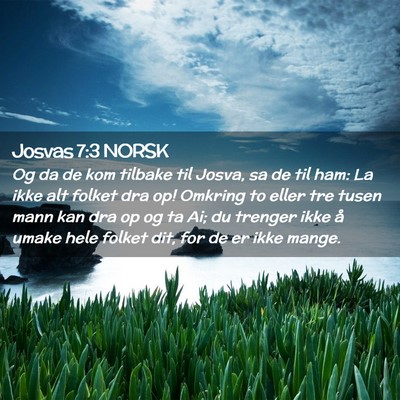 Picture 02 - Josvas 7:3 NORSK - Og da de kom tilbake til Josva, sa de til ham: La - Bible Verse Picture