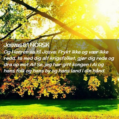 Picture 02 - Josvas 8:1 NORSK - Og Herren sa til Josva: Frykt ikke og vær ikke - Bible Verse Picture